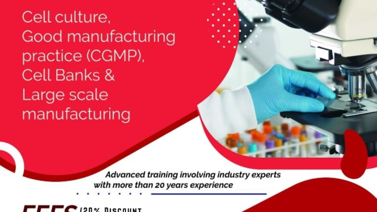 274046130_150500657346561_4036194028343635356_n